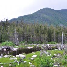Canada2017_0526__DSC_0558