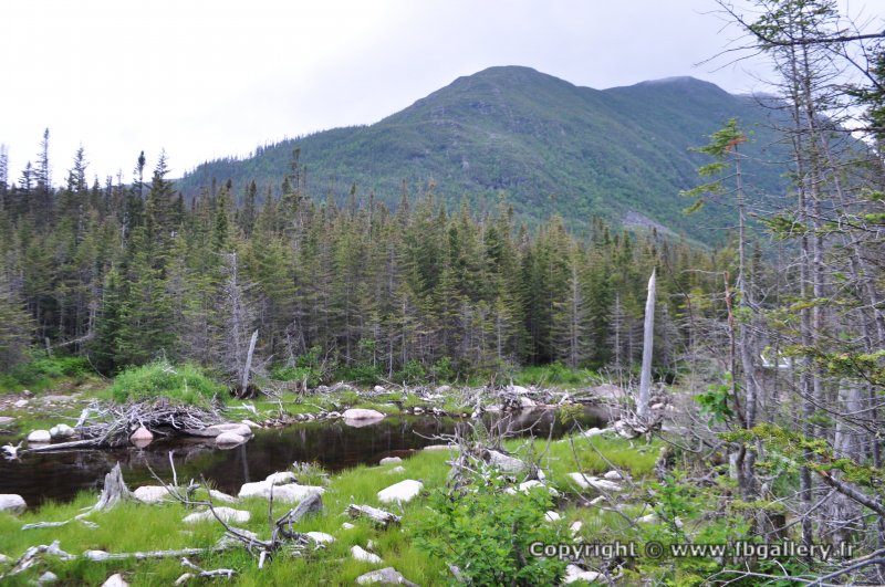 Canada2017_0526__DSC_0558