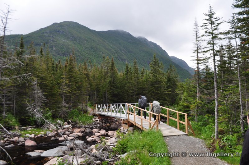Canada2017_0528__DSC_0560