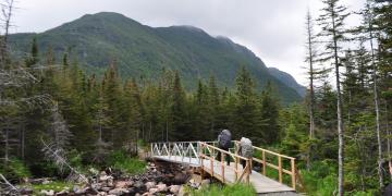 09-Parc_nationnal_gaspesie