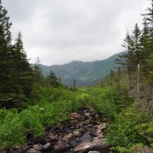 Canada2017_0530__DSC_0562