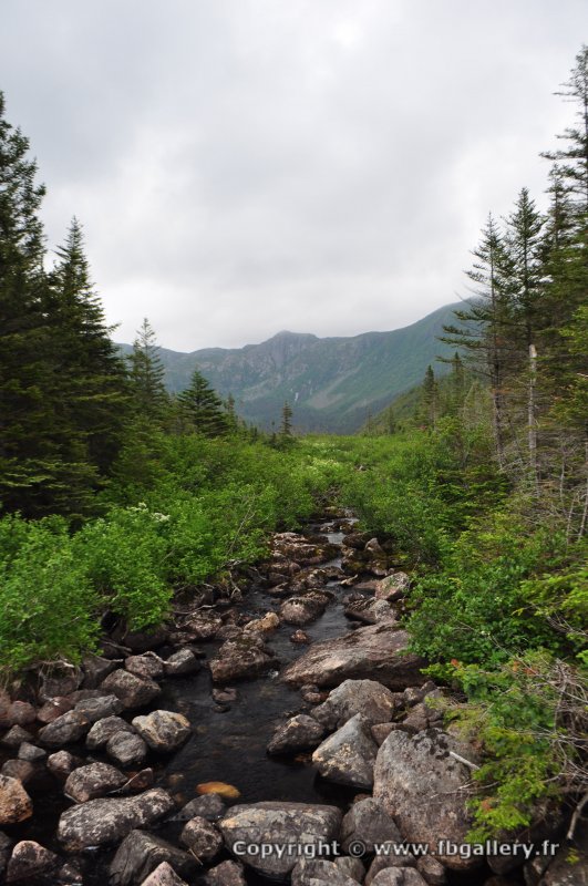 Canada2017_0530__DSC_0562