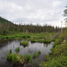 Canada2017_0534__DSC_0566