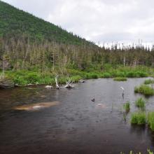 Canada2017_0536__DSC_0568
