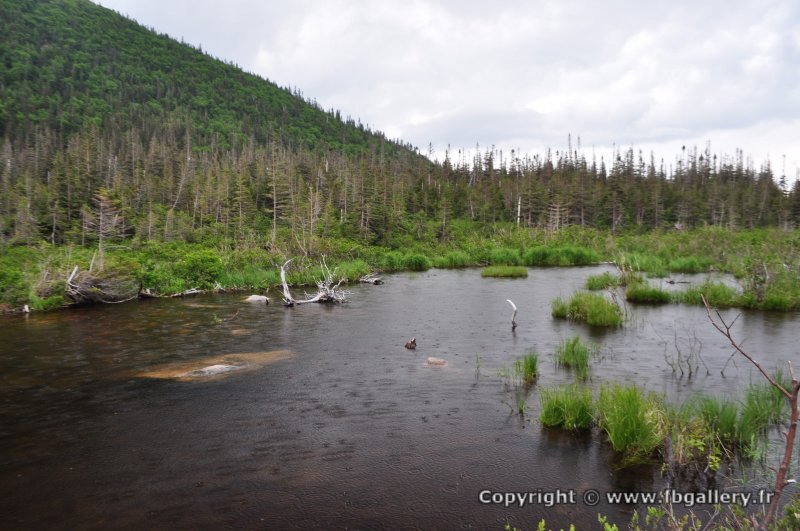 Canada2017_0536__DSC_0568