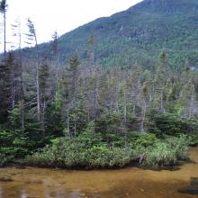 Canada2017_0553__DSC_0585