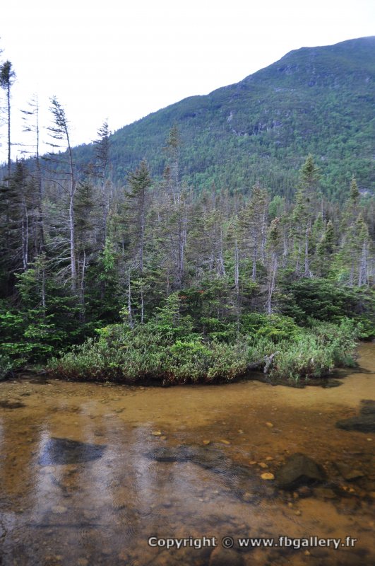 Canada2017_0553__DSC_0585