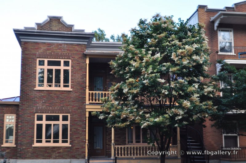 Canada2017_0600__DSC_0634