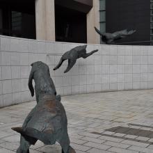 Canada2017_0612__DSC_0646