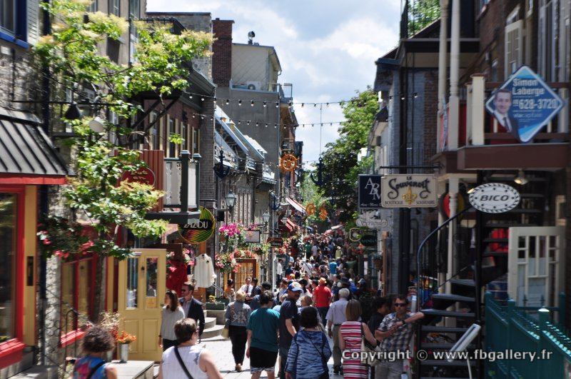 Canada2017_0670__DSC_0711