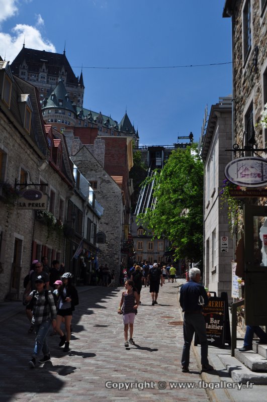 Canada2017_0675__DSC_0717