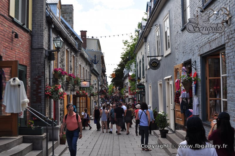 Canada2017_0676__DSC_0719