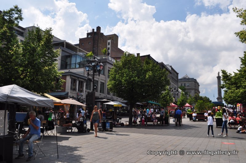 Canada2017_0780__DSC_0838