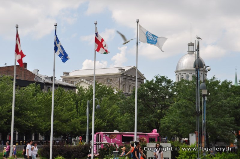 Canada2017_0792__DSC_0850