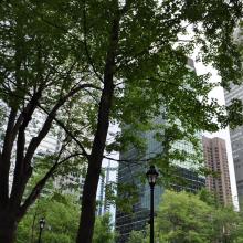 Canada2017_0853__DSC_0912