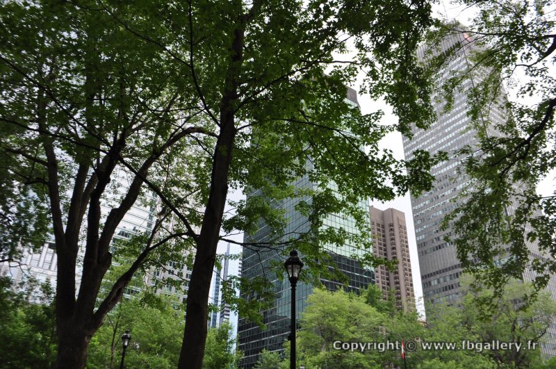 Canada2017_0853__DSC_0912