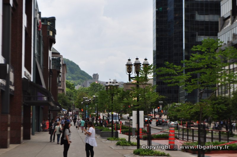 Canada2017_0857__DSC_0916