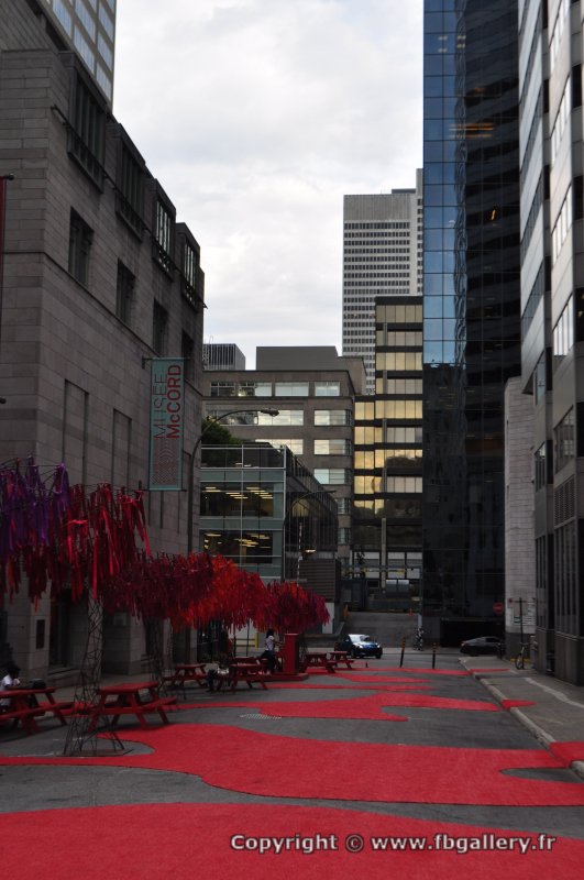 Canada2017_0871__DSC_0930