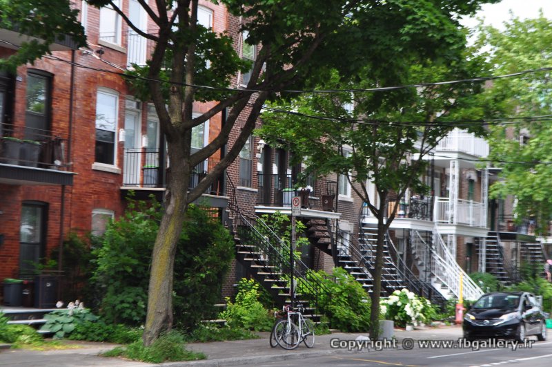 Canada2017_0889__DSC_0948