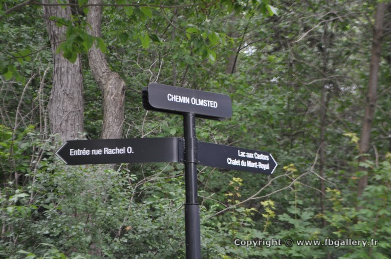 Canada2017_0914__DSC_0976