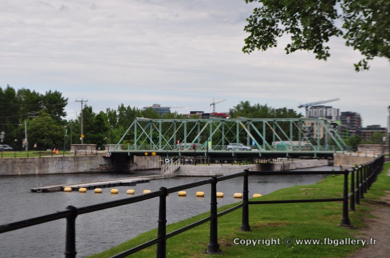 Canada2017_0942__DSC_1011
