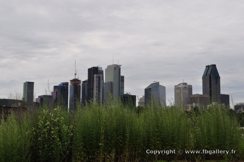 Canada2017_0951__DSC_0006