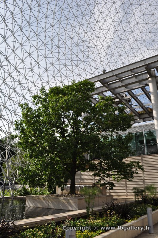 Canada2017_0968__DSC_0023