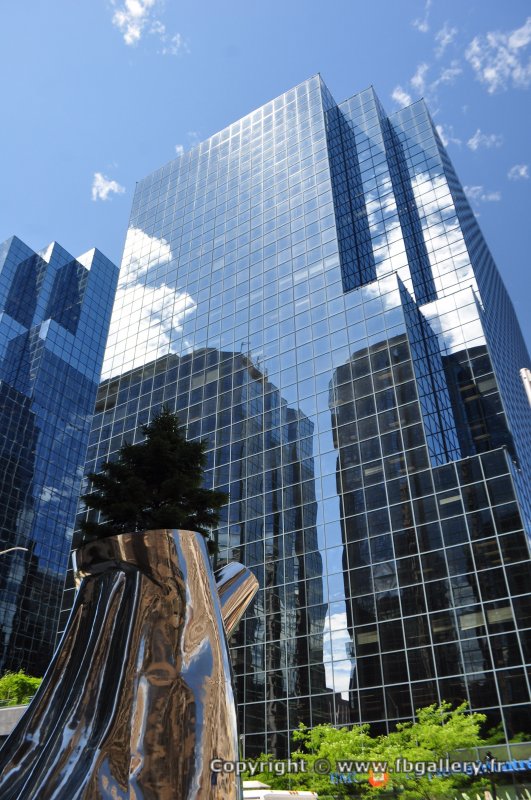 Canada2017_0995__DSC_0052