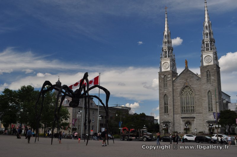 Canada2017_1128__DSC_0185