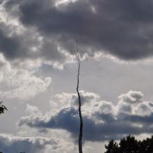 Canada2017_1135__DSC_0192