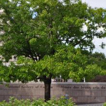 Canada2017_1147__DSC_0204