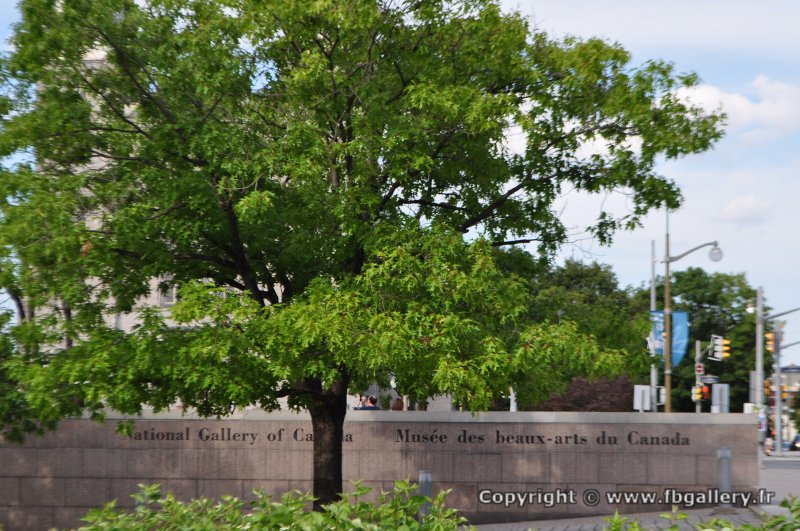Canada2017_1147__DSC_0204