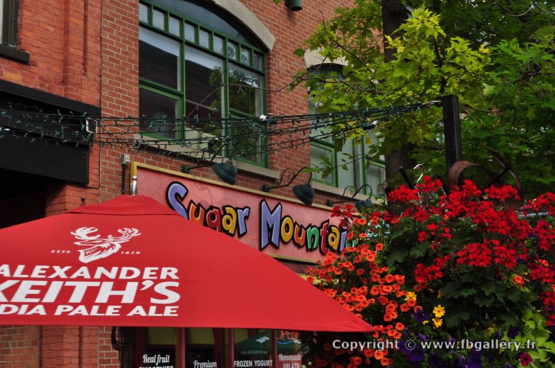 Canada2017_1167__DSC_0224