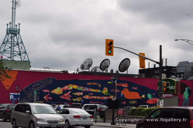 Canada2017_1199__DSC_0263