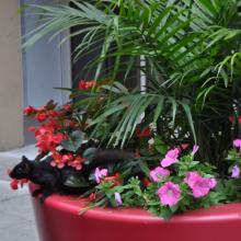 Canada2017_1232__DSC_0309