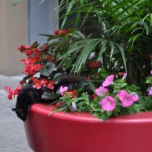 Canada2017_1233__DSC_0310