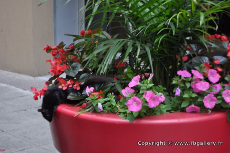 Canada2017_1233__DSC_0310