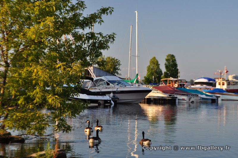 Canada2017_1290__DSC_0378