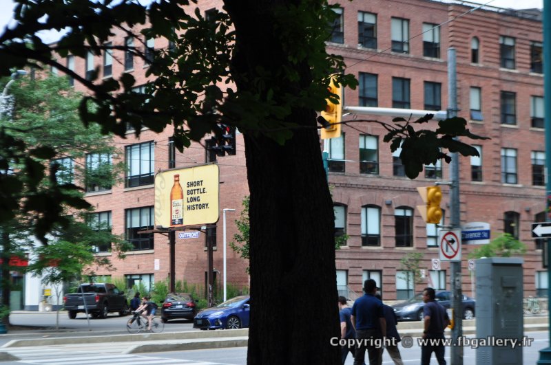 Canada2017_1528__DSC_0674
