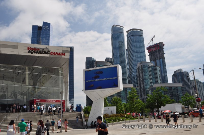 Canada2017_1553__DSC_0699