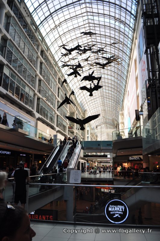 Canada2017_1614__DSC_0766