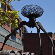 Canada2017_1704__DSC_0860