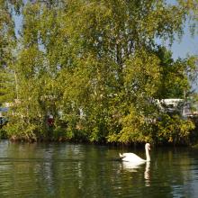 Canada2017_1762__DSC_0922