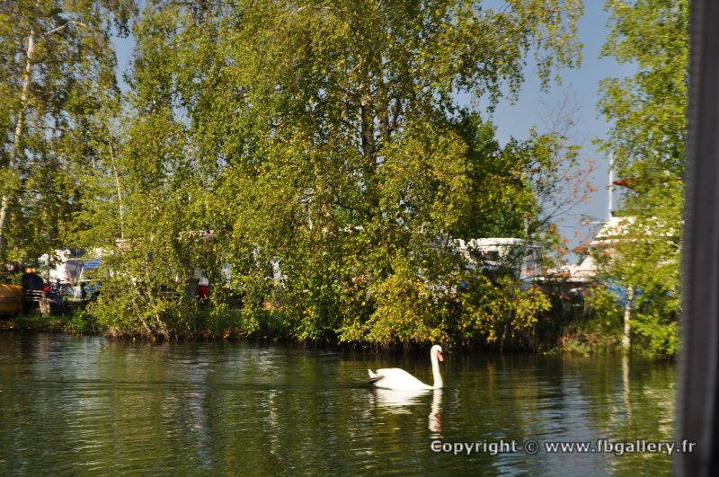 Canada2017_1762__DSC_0922