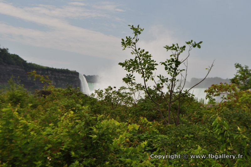 Canada2017_1859__DSC_1022