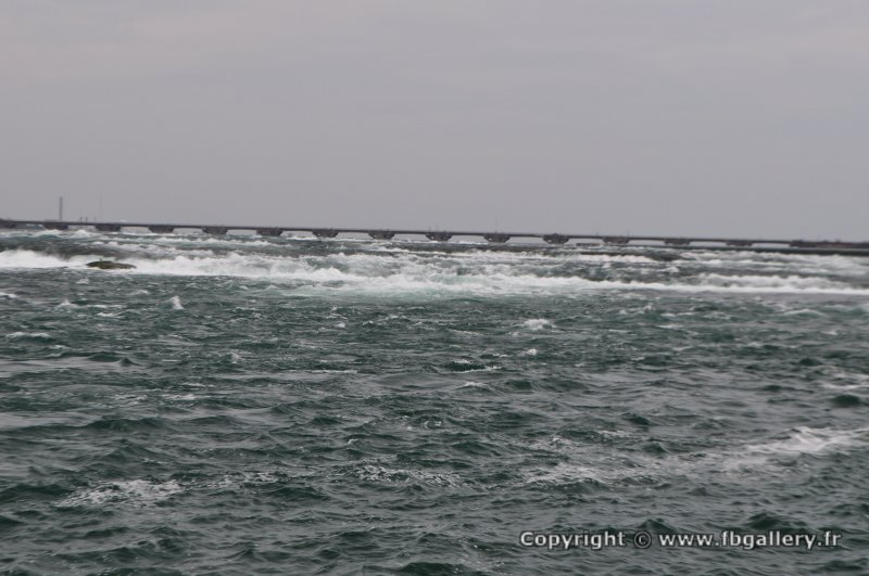 Canada2017_1868__DSC_1031