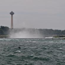 Canada2017_1870__DSC_1033
