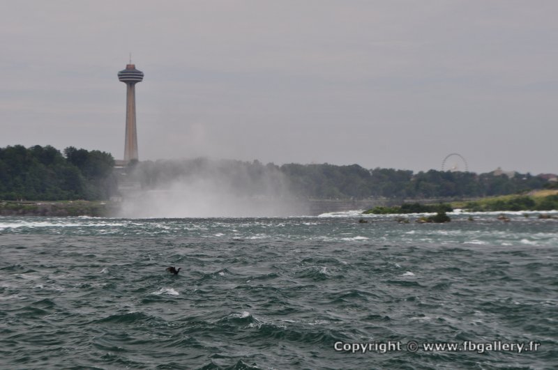 Canada2017_1870__DSC_1033