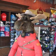 Canada2017_1924__DSC_1092