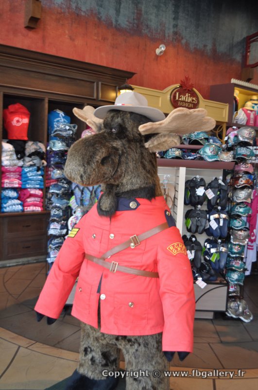 Canada2017_1924__DSC_1092